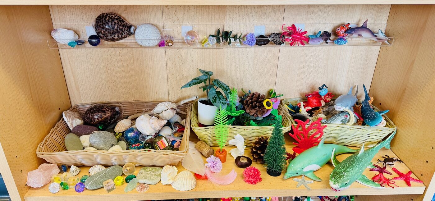 Baskets of shells, stones, pinecones and sea creatures for small-world play